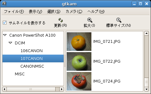 Screenshot-gtkam3.png
